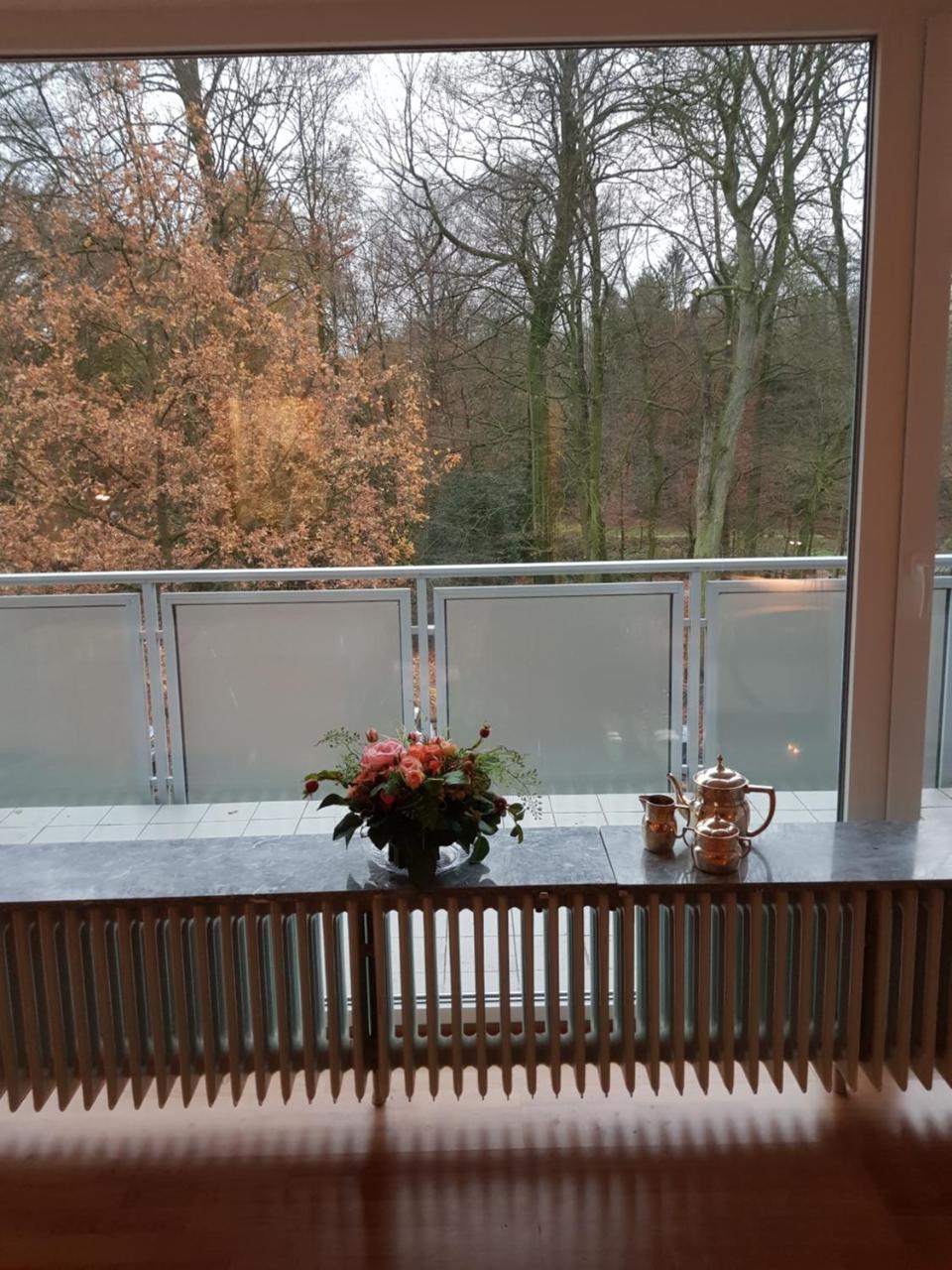 Apartment Mit Blick Auf Das Eversten Holz 42Qm オルデンブルク エクステリア 写真